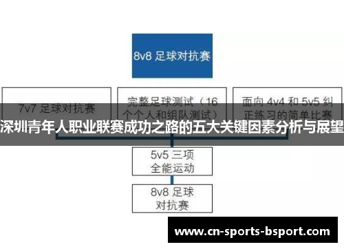 深圳青年人职业联赛成功之路的五大关键因素分析与展望
