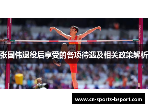 张国伟退役后享受的各项待遇及相关政策解析