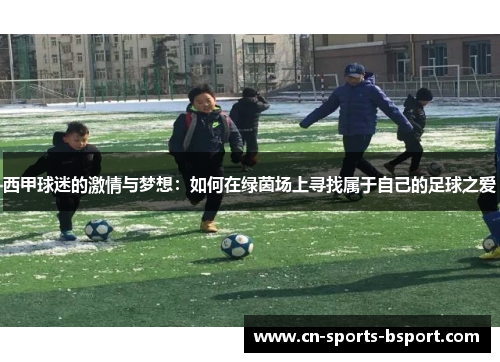 西甲球迷的激情与梦想：如何在绿茵场上寻找属于自己的足球之爱
