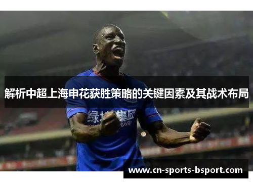 解析中超上海申花获胜策略的关键因素及其战术布局