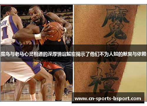 魔鸟与老马心灵相通的深厚情谊解密揭示了他们不为人知的默契与依赖 魔鸟与老马心灵相通的深厚情谊解密揭示了他们不为人知的默契与依赖