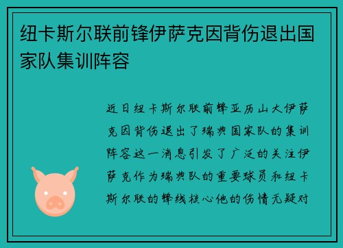 纽卡斯尔联前锋伊萨克因背伤退出国家队集训阵容